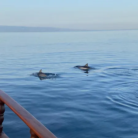 度假居 Casa Nicole Fronte Mare 贾迪尼-纳克索斯